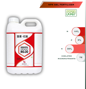Denso Rojo 291x300