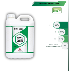Denso Verde 291x300